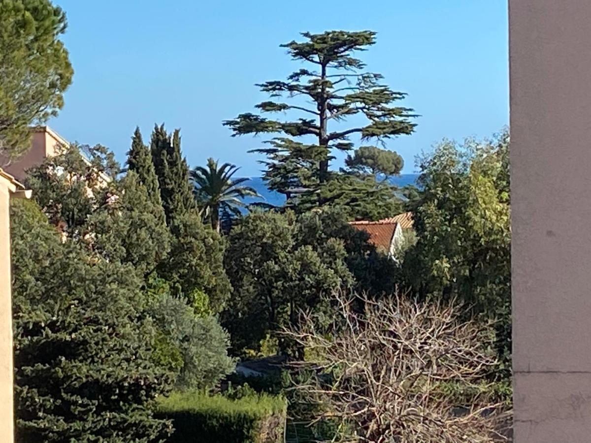 Saint Aygulf - A 250M De La Mer- 3 Pieces 45M2 Zewnętrze zdjęcie